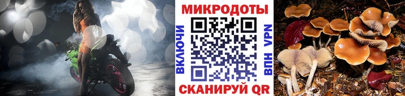 Галлюциногенные грибы мухоморы  blacksprut сайт  Электросталь  купить закладку 