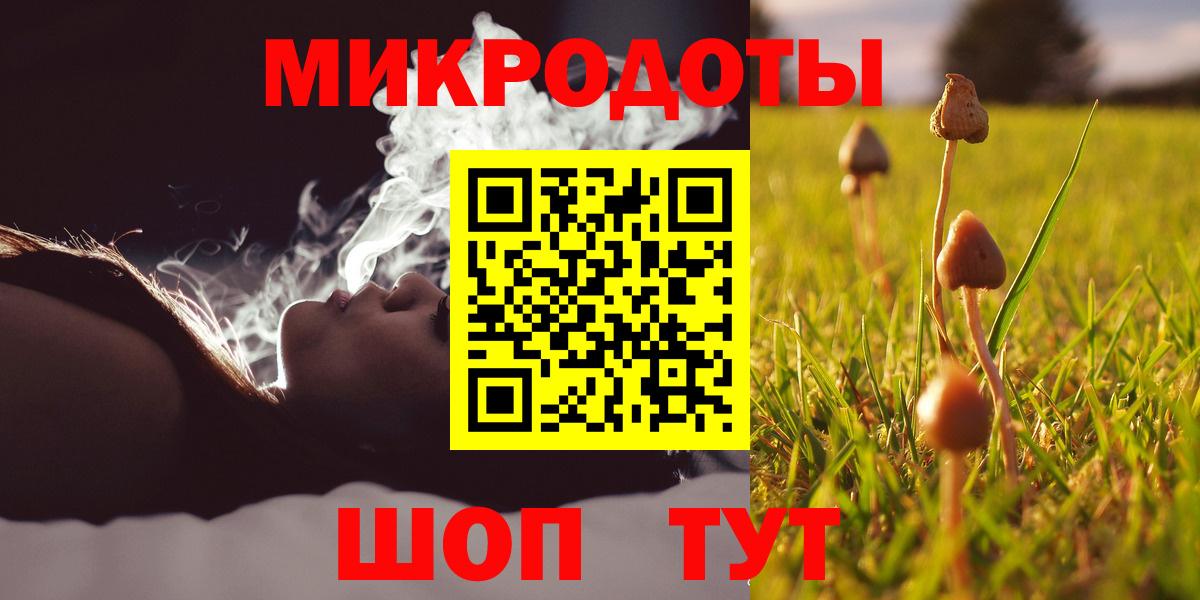 Галлюциногенные грибы Magic Shrooms  Вход с VPN  Электросталь  Галлюциногенные грибы Psilocybe 