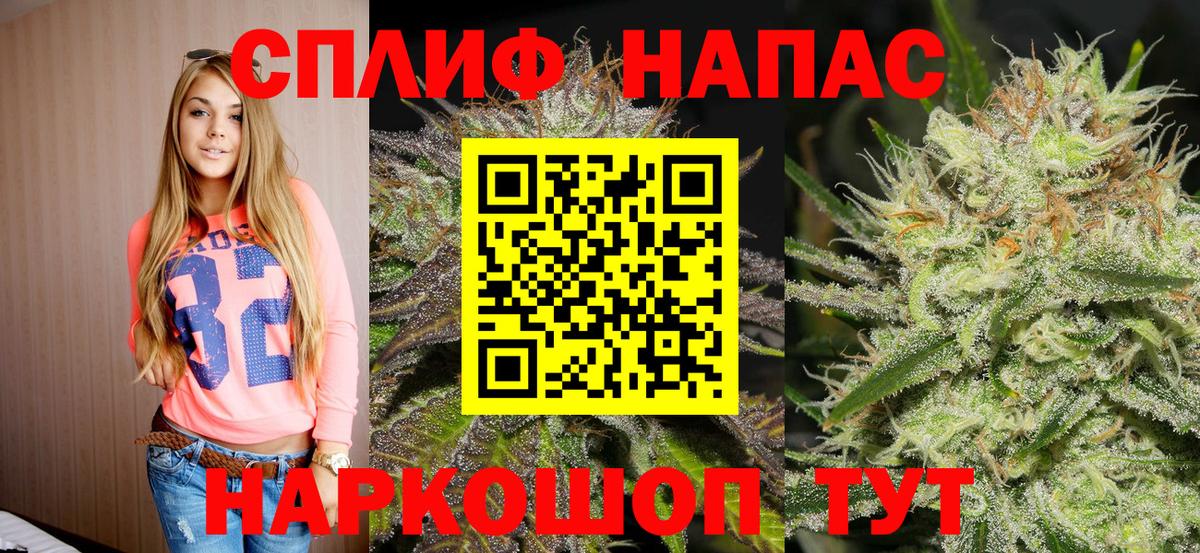 Бошки марихуана план Электросталь